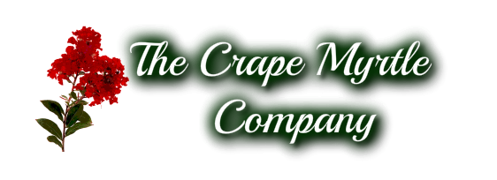 The Crape Myrtle Company